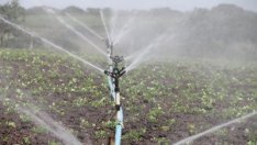 Водата за напояване се възлага на "Напоителни системи" 