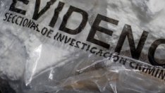 Европа се превръща в кокаинов център, пазарът за милиарди евро се разраства