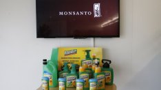 ЕС възнамерява да провери евентуална сделка между Bayer и Monsanto