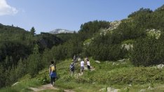 Природозащитници искат планът за управление на парк Пирин да бъде преработен