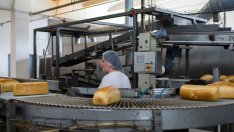 Безработицата в България се свива до 5,3% през юни