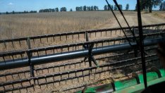 Членовете на ЕС се разбраха за дотираната с 387 млрд. евро аграрна реформа*