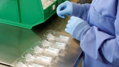 Защо страните от Източна Европа отчитат по-малко случаи на COVID-19 от Запада