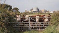 Щедрите ядрени обещания на Джонсън може да се сблъскат със сурова реалност