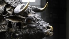 БФБ организира четири срещи с инвеститорите през 2018 г.