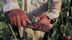 Графика на деня: Износът в Близкия изток и части от Централна Азия