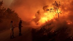 МВФ: Климатичните промени може да увеличат смъртните случаи при конфликти