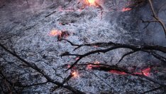 Бразилия: Пожарите в Амазония са под контрол