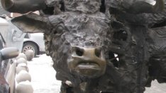 КТБ и ЦКБ отново лидери по оборот, KBC обаче е първи за 2010 г.