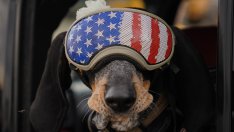 Американските магнати подкрепят късогледо Тръмп