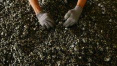 Миньорите от „Оброчище“ отново започнаха гладна стачка