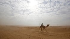 Опасната игра на Саудитска Арабия с Катар