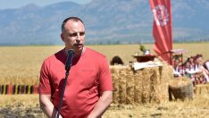 Порожанов: Очакваме още огнища на птичи грип, но няма опасност за хората