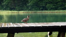 Дивите кътчета на планетата се топят