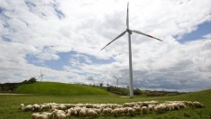 IRENA: Възобновяемата енергия е „отбранителната политика на бъдещето“