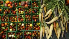 Русия отменя забраната за внос на турски тиквички, тикви, чушки и марули 