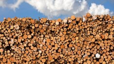 Германските производствени цени растат с най-бърз темп от 1975 г.