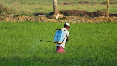 Климатичните промени застрашават здравето на 2,4 млрд. служители по света