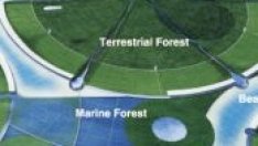 Японци планират екологични плаващи градове