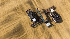 Русия затяга хватката си върху световните доставки на пшеница