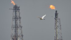 Трудното решение пред ОПЕК+