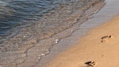 През 2019 г. са събрани 12,5 млн. лв. от концесии на плажове