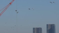 Чуждестранните купувачи наводняват буксуващия жилищен пазар в Турция