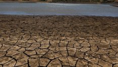 Климатичната криза ще свие икономиките на Г-7 два пъти повече от Covid до 2050 г.