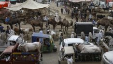 Сега не е времето за игнориране на развиващите се икономики