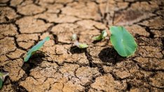 Рядък сигнал за дъно на мечия пазар дава надежда за биткойна