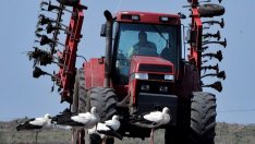 Започва вторият прием на проекти за инвестиции в земеделските стопанства  