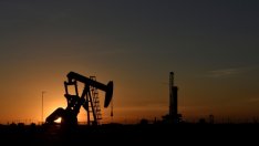 Мащабната диверсификация на енергийните източници на Индия и Китай