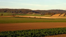 Кампанията за директни плащания ще бъде удължена до 31 май