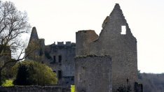 25 хил. души станаха съсобственици на френски замък