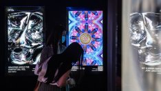 NFT пазарът остава запазена територия за мъжете