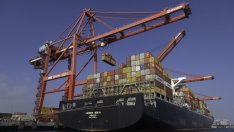 Свободната търговия не ни направи свободни