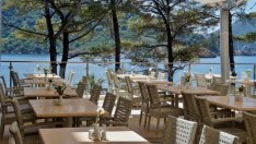 След корекция: ГЕРБ предлага по-нисък ДДС за заведения и развлекателния сектор*