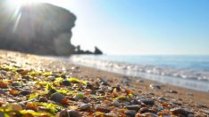 Концепцията за управление на плажовете излиза за публично обсъждане до седмици