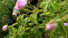 Еднодневните трудови договори да се подават онлайн, искат работодатели