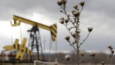 МАЕ: Пренасищането на пазара на петрол ще продължи и през 2016 г. 