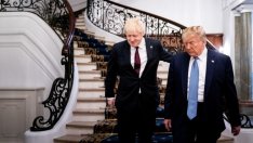 Спокойно, популизмът ще си отиде скоро