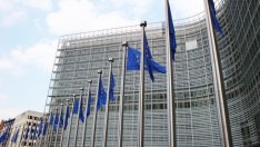 Е. Бенковска: Eвроскептичните страни са по-голяма заплаха за ЕС от Brexit