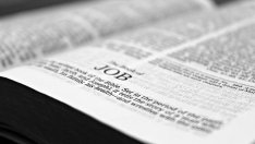 Пренасочват 5 млн. лв. за заетост на над 2500 безработни