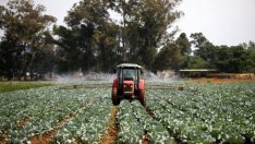 Светлана Боянова: Трябва да има дискусия за зеления преход в селското стопанство