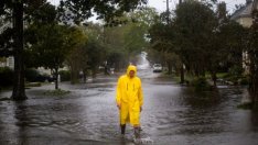 Експерт: Държавни инвестиции в следващите 3-4 години ще ограничат наводненията