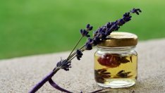 Лавена ще увеличава капитала