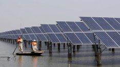 Китай - новият лидер в борбата с климатичните промени след оттеглянето на САЩ