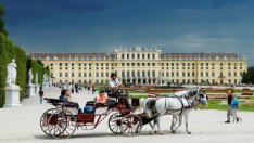 Нов проектозакон усложнява дейността на Airbnb във Виена