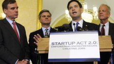 Една четвърт от технологичните стартъпи в САЩ се основават от имигранти