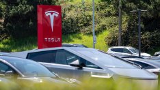 Продажбите на Tesla се сриват и в Нидерландия